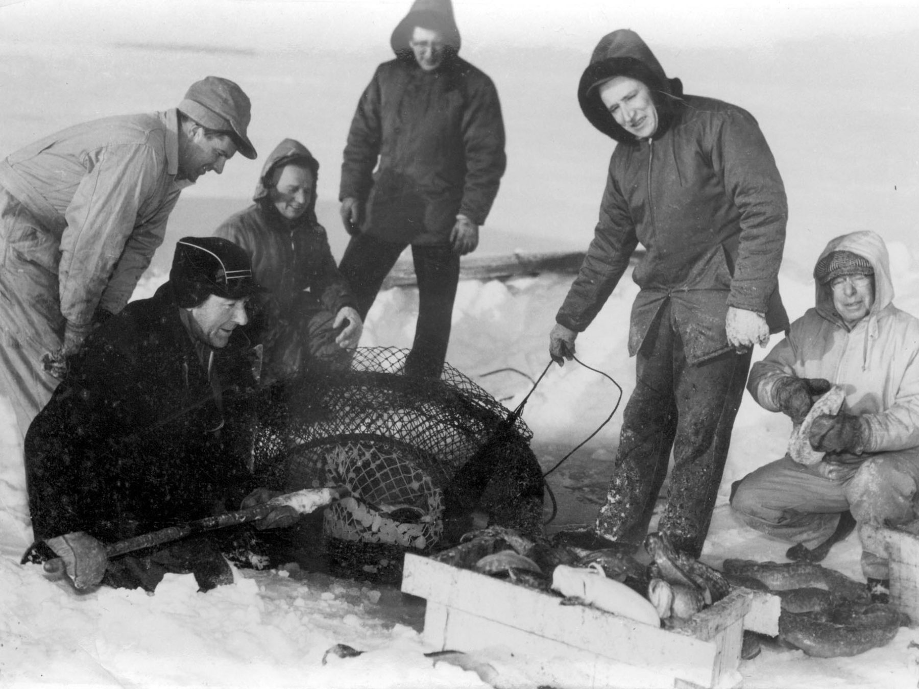 Mink Sink, Swim on Burbot Catch Roseau County Historical Society and